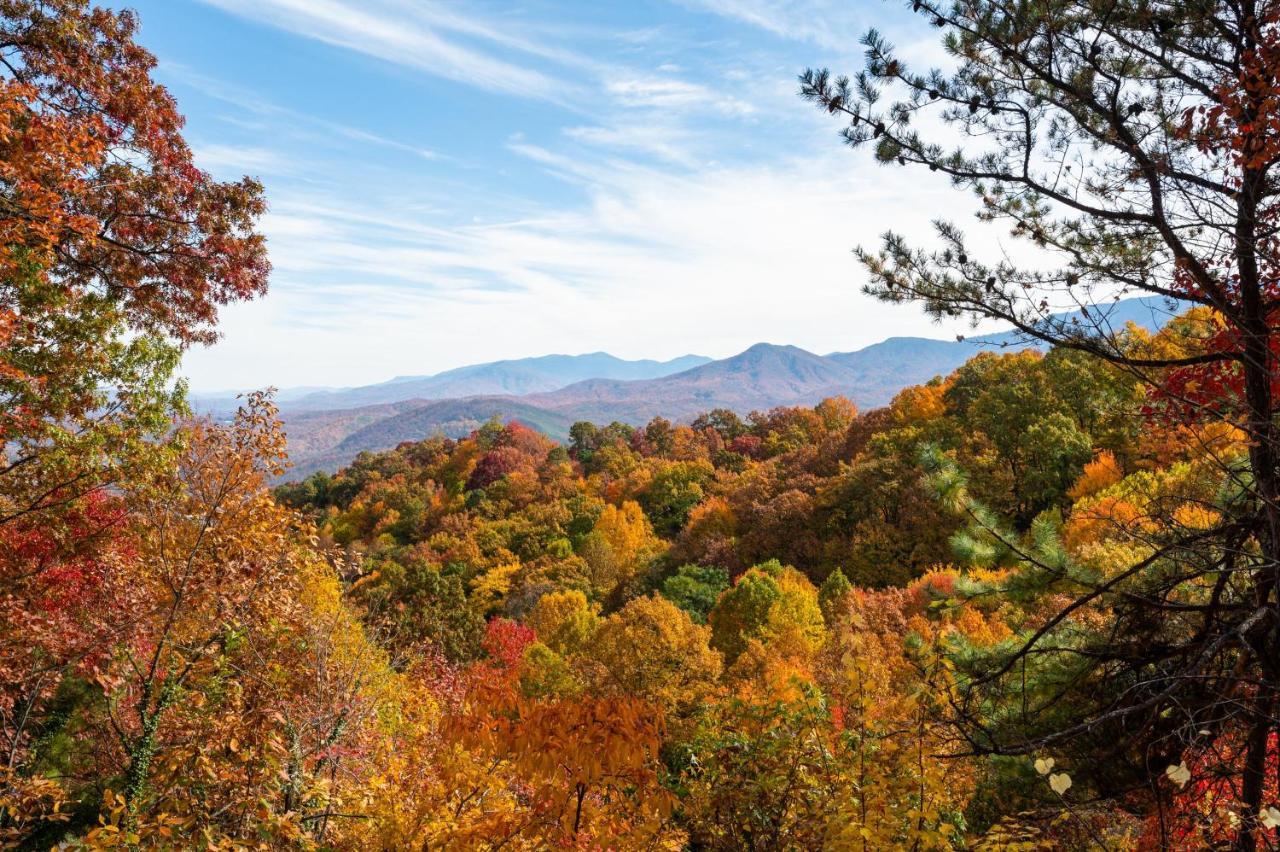 Woodhaven - Private - 3 Suites - Gorgeous Views - 3 Pools - Gamerm - Hottub - Lots Of Bears ガトリンバーグ エクステリア 写真
